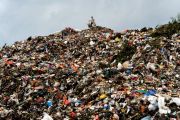 Perbedaan Sampah Organik dan Non Organik